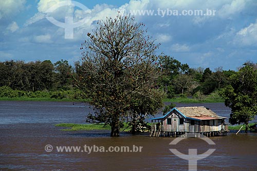  Subject: House in the Amazon River in the flooding season between the towns of Itacoatiara and Parintins / Place: Itacoatiara city - Amazonas state (AM) - Brazil / Date: 06/2012 