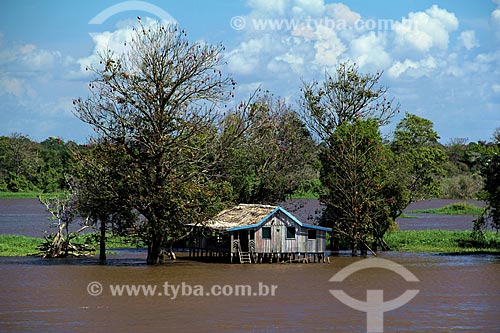  Subject: House in the Amazon River in the flooding season between the towns of Itacoatiara and Parintins / Place: Itacoatiara city - Amazonas state (AM) - Brazil / Date: 06/2012 