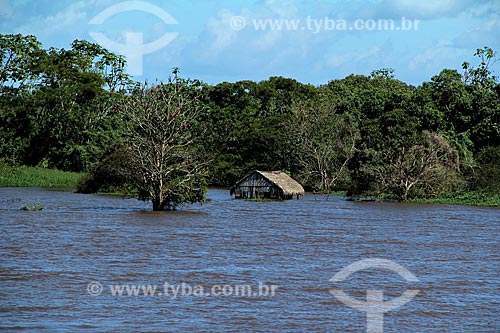  Subject: House in the Amazon River in the flooding season between the towns of Itacoatiara and Parintins / Place: Itacoatiara city - Amazonas state (AM) - Brazil / Date: 06/2012 