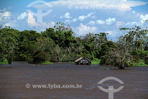  Subject: House in the Amazon River in the flooding season between the towns of Itacoatiara and Parintins / Place: Itacoatiara city - Amazonas state (AM) - Brazil / Date: 06/2012 