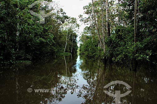  Subject: Igarape on the Amazon River in flood season / Place: Parintins city - Amazonas state (AM) - Brazil / Date: 06/2012 