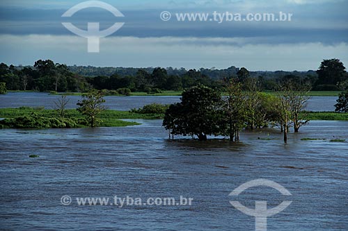  Subject: Amazon River in the flooding season between the towns of Parintins and Itacoatiara / Place: Parintins city - Amazonas state (AM) - Brazil / Date: 06/2012 