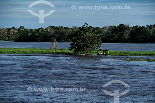  Subject: Amazon River in the flooding season between the towns of Parintins and Itacoatiara / Place: Parintins city - Amazonas state (AM) - Brazil / Date: 06/2012 