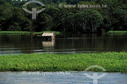  Subject: House in the Amazon River in the flooding season between the towns of Parintins and Itacoatiara / Place: Parintins city - Amazonas state (AM) - Brazil / Date: 06/2012 