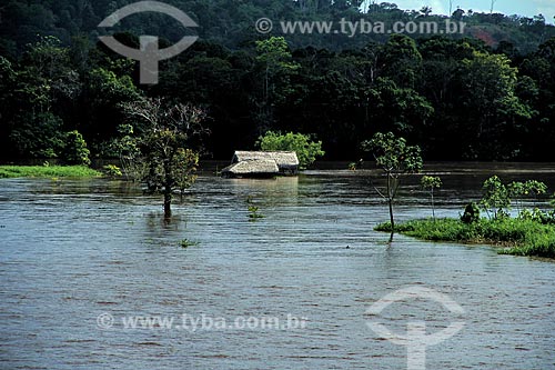  Subject: House in the Amazon River in the flooding season between the towns of Parintins and Itacoatiara / Place: Parintins city - Amazonas state (AM) - Brazil / Date: 06/2012 