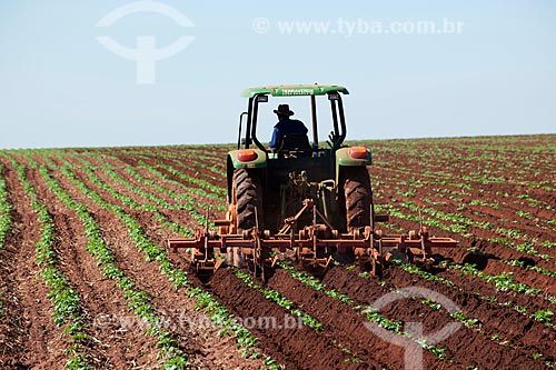  Subject: Tractor windrowing potatoes plantation in rural zone of Casa Branca city / Place: Casa Branca city - Sao Paulo state (SP) - Brazil  / Date: 06/2011 