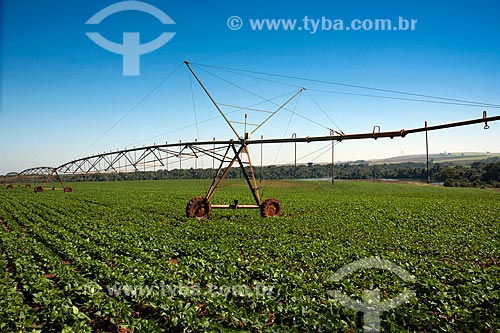  Subject: Use of central pivot in potato plantation in rural zone of Casa Branca city / Place: Casa Branca city - Sao Paulo state (SP) - Brazil  / Date: 06/2011 