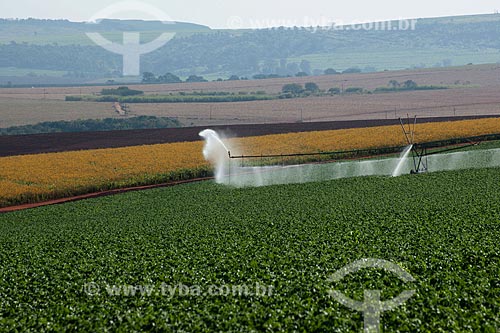  Subject: Use of central pivot in potato plantation in rural zone of Casa Branca city / Place: Casa Branca city - Sao Paulo state (SP) - Brazil  / Date: 06/2011 