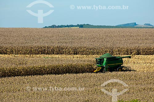  Subject: Corn harvest in rural zone of Itapeva city / Place: Itapeva city - Sao Paulo state (SP) - Brazil / Date: 02/2012 