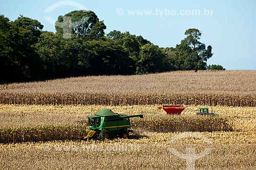  Subject: Corn harvest in rural zone of Itapeva city / Place: Itapeva city - Sao Paulo state (SP) - Brazil / Date: 02/2012 