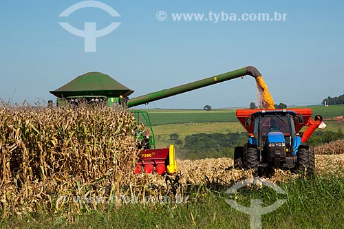  Subject: Unloading corn in rural zone of Itapeva city / Place: Itapeva city - Sao Paulo state (SP) - Brazil / Date: 02/2012 