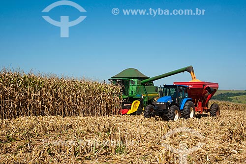  Subject: Unloading corn in rural zone of Itapeva city / Place: Itapeva city - Sao Paulo state (SP) - Brazil / Date: 02/2012 