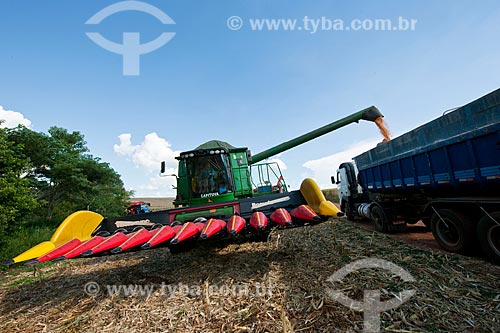  Subject: Unloading corn in rural zone of Itapeva city / Place: Itapeva city - Sao Paulo state (SP) - Brazil / Date: 02/2012 