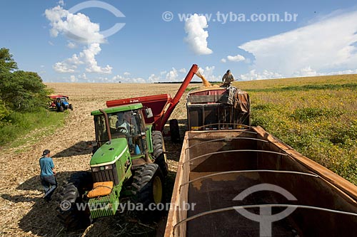  Subject: Unloading corn in rural zone of Itapeva city / Place: Itapeva city - Sao Paulo state (SP) - Brazil / Date: 02/2012 