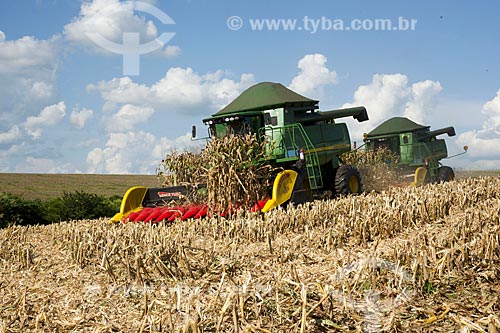  Subject: Corn harvest in rural zone of Itapeva city / Place: Itapeva city - Sao Paulo state (SP) - Brazil / Date: 02/2012 