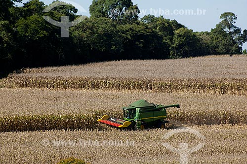  Subject: Corn harvest in rural zone of Itapeva city / Place: Itapeva city - Sao Paulo state (SP) - Brazil / Date: 02/2012 