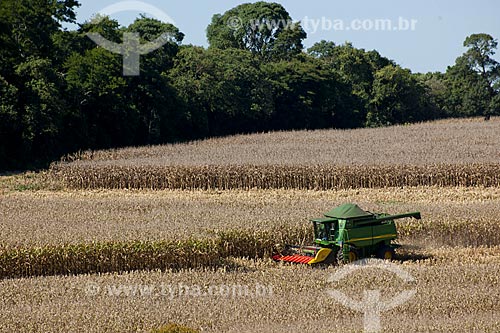  Subject: Corn harvest in rural zone of Itapeva city / Place: Itapeva city - Sao Paulo state (SP) - Brazil / Date: 02/2012 