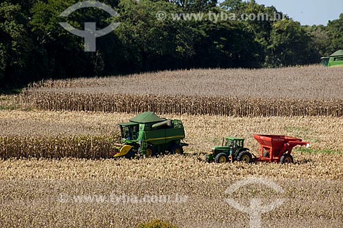  Subject: Corn harvest in rural zone of Itapeva city / Place: Itapeva city - Sao Paulo state (SP) - Brazil / Date: 02/2012 