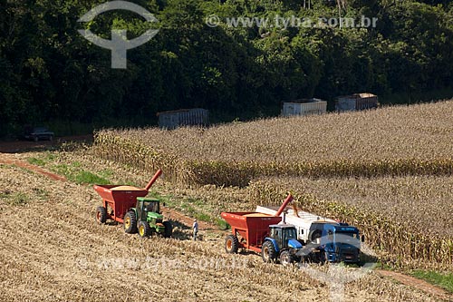  Subject: Unloading corn in rural zone of Itapeva city / Place: Itapeva city - Sao Paulo state (SP) - Brazil / Date: 02/2012 