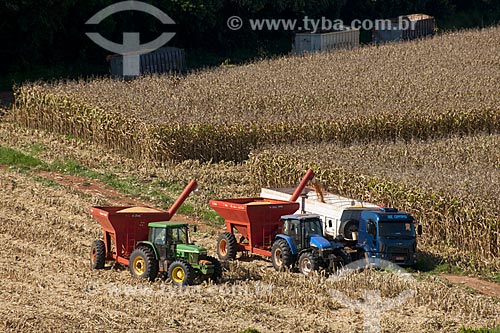  Subject: Unloading corn in rural zone of Itapeva city / Place: Itapeva city - Sao Paulo state (SP) - Brazil / Date: 02/2012 