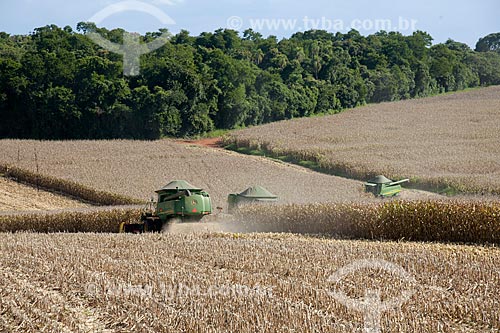  Subject: Corn harvest in rural zone of Itapeva city / Place: Itapeva city - Sao Paulo state (SP) - Brazil / Date: 02/2012 