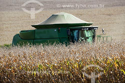  Subject: Corn harvest in rural zone of Itapeva city / Place: Itapeva city - Sao Paulo state (SP) - Brazil / Date: 02/2012 