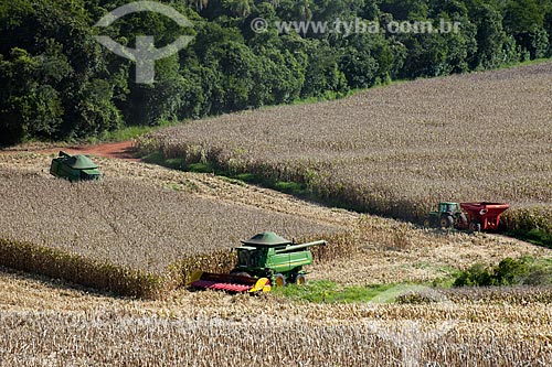  Subject: Corn harvest in rural zone of Itapeva city / Place: Itapeva city - Sao Paulo state (SP) - Brazil / Date: 02/2012 