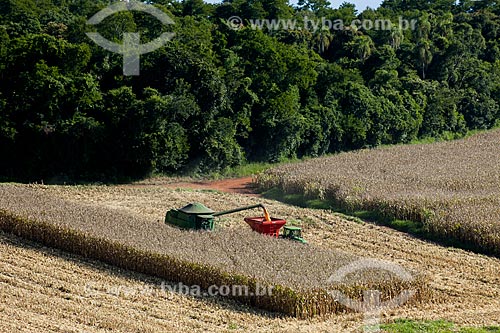  Subject: Corn harvest in rural zone of Itapeva city / Place: Itapeva city - Sao Paulo state (SP) - Brazil / Date: 02/2012 