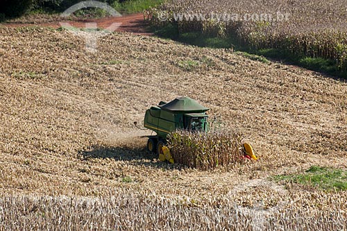  Subject: Corn harvest in rural zone of Itapeva city / Place: Itapeva city - Sao Paulo state (SP) - Brazil / Date: 02/2012 