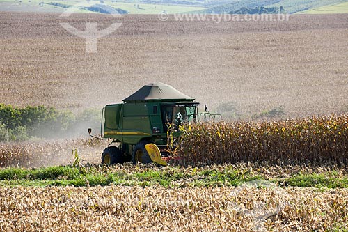  Subject: Corn harvest in rural zone of Itapeva city / Place: Itapeva city - Sao Paulo state (SP) - Brazil / Date: 02/2012 