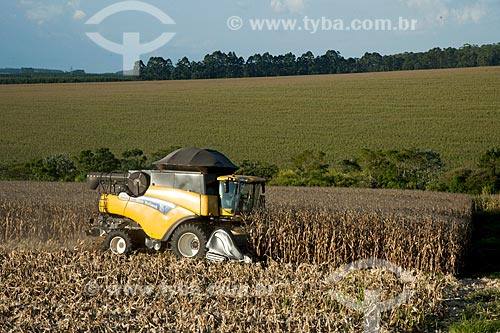  Subject: Corn harvest in rural zone of Itarare city / Place: Itarare city - Sao Paulo state (SP) - Brazil / Date: 02/2012 