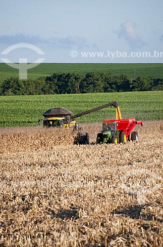  Subject: Unloading corn in rural zone of Itarare city   / Place: Itarare city - Sao Paulo state (SP) - Brazil / Date: 02/2012 