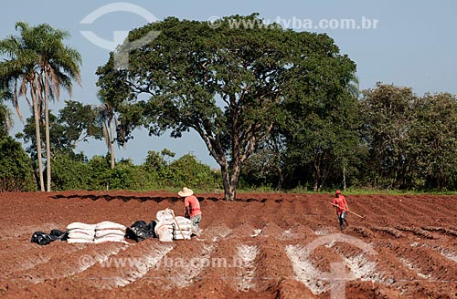  Subject: Soil preparation for planting Envarado tomatoes in rural zone of Itabera city / Place: Taquarivai city - Sao Paulo state (SP) - Brazil / Date: 02/2012 