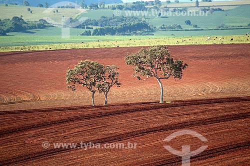  Subject: Soil plowed for farming  in rural zone of Itabera city / Place: Itabera city - Sao Paulo state (SP) - Brazil / Date: 02/2012 