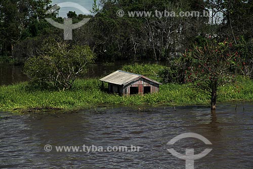  Subject: House on Amazon River in flood season between the cities of Parintins and Itacoatiara / Place: Parintins city - Amazonas state (AM) - Brazil / Date: 07/2012 