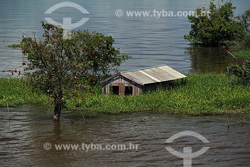  Subject: House on Amazon River in flood season between the cities of Parintins and Itacoatiara / Place: Parintins city - Amazonas state (AM) - Brazil / Date: 07/2012 