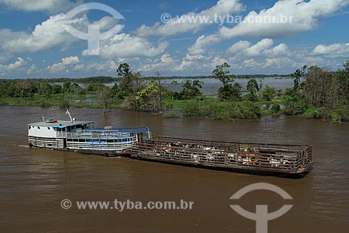  Subject: Ferry transporting cattle in the Amazon River in flood season / Place: Parintins city - Amazonas state (AM) - Brazil / Date: 07/2012 