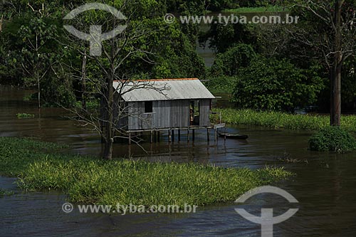  Subject: House on Amazon River in flood season between the cities of Parintins and Itacoatiara / Place: Parintins city - Amazonas state (AM) - Brazil / Date: 07/2012 