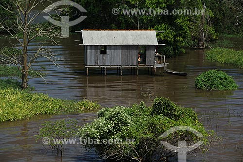  Subject: House on Amazon River in flood season between the cities of Parintins and Itacoatiara / Place: Parintins city - Amazonas state (AM) - Brazil / Date: 07/2012 