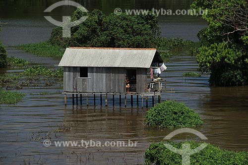  Subject: House on Amazon River in flood season between the cities of Parintins and Itacoatiara / Place: Parintins city - Amazonas state (AM) - Brazil / Date: 07/2012 