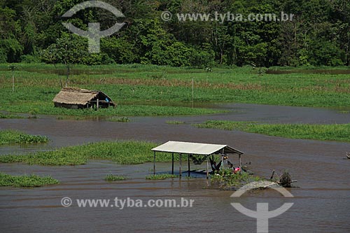  Subject: House on Amazon River in flood season between the cities of Parintins and Itacoatiara / Place: Parintins city - Amazonas state (AM) - Brazil / Date: 07/2012 