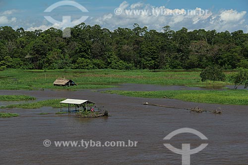  Subject: House on Amazon River in flood season between the cities of Parintins and Itacoatiara / Place: Parintins city - Amazonas state (AM) - Brazil / Date: 07/2012 