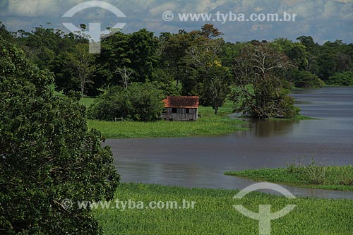  Subject: House on Amazon River in flood season between the cities of Parintins and Itacoatiara / Place: Parintins city - Amazonas state (AM) - Brazil / Date: 07/2012 