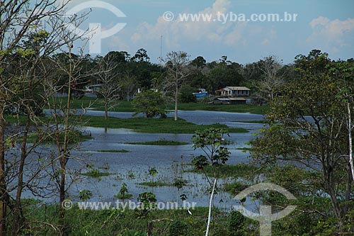  Subject: View of Amazon River in flood season / Place: Parintins city - Amazonas state (AM) - Brazil / Date: 07/2012 