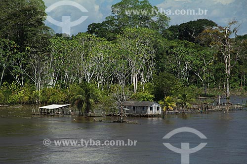  Subject: House on Amazon River in flood season between the cities of Parintins and Itacoatiara / Place: Parintins city - Amazonas state (AM) - Brazil / Date: 07/2012 