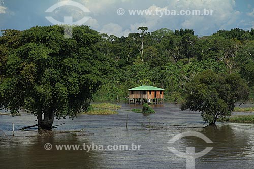  Subject: House on Amazon River in flood season between the cities of Parintins and Itacoatiara / Place: Parintins city - Amazonas state (AM) - Brazil / Date: 07/2012 