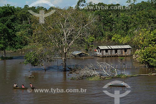  Subject: House on Amazon River in flood season between the cities of Parintins and Itacoatiara / Place: Parintins city - Amazonas state (AM) - Brazil / Date: 07/2012 