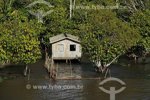  Subject: House on Amazon River in flood season between the cities of Parintins and Itacoatiara / Place: Parintins city - Amazonas state (AM) - Brazil / Date: 07/2012 