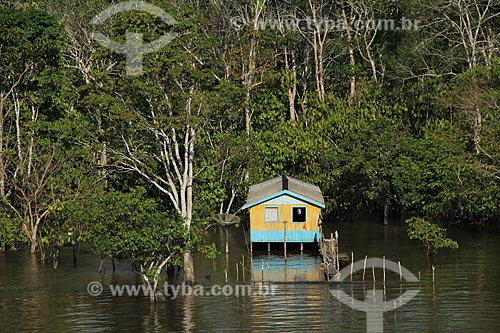  Subject: House on Amazon River in flood season between the cities of Parintins and Itacoatiara / Place: Parintins city - Amazonas state (AM) - Brazil / Date: 07/2012 