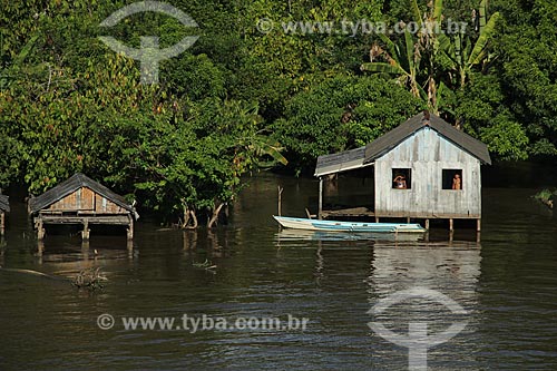  Subject: House on Amazon River in flood season between the cities of Parintins and Itacoatiara / Place: Parintins city - Amazonas state (AM) - Brazil / Date: 07/2012 